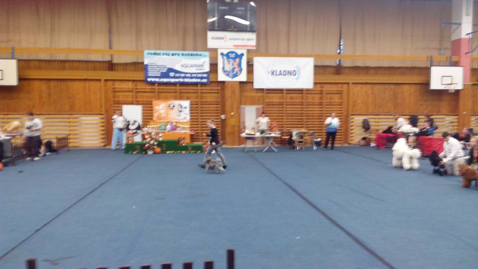 22789182_1626288237392907_3067043388304842046_n